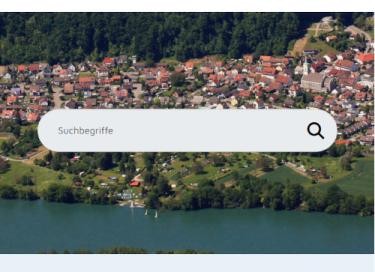 Die Suchmaske ist auf der Startseite im oberen Bannerbild.