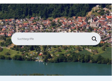 Die Suchmaske ist auf der Startseite im oberen Bannerbild.