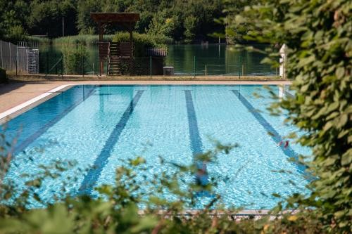 Schwimmerbecken im Freibad am Rhein Schwimmerbecken im Freibad am Rhein